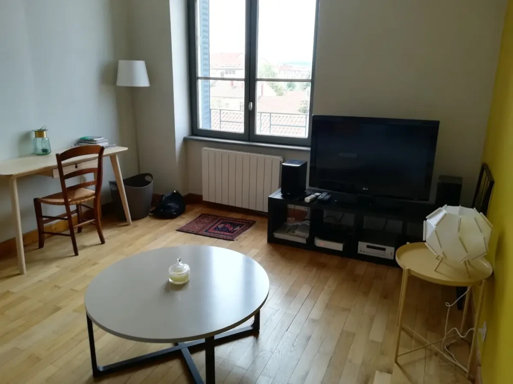 Salon lumineux avec vue dégagée et mobilier moderne à Lyon