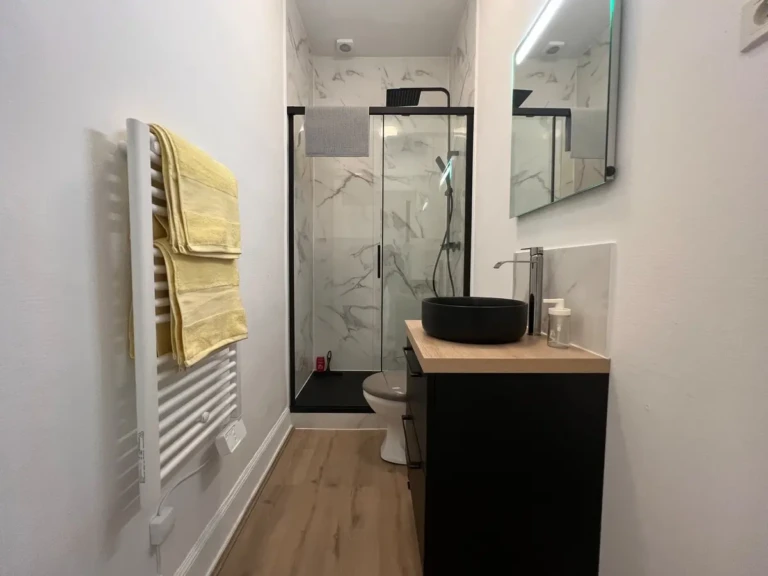 Salle de bain moderne d'un T2 au Busca, Toulouse