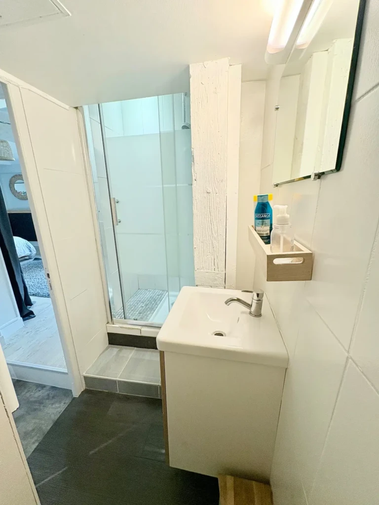 Salle de bain moderne et fonctionnelle dans un studio de la Croix-Rousse.
