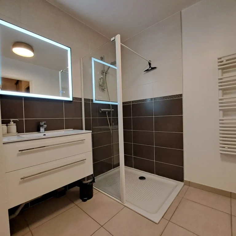 Salle de bain moderne et élégante de l'Atelier Rochecardon à Vaise-Rochecardon, Lyon