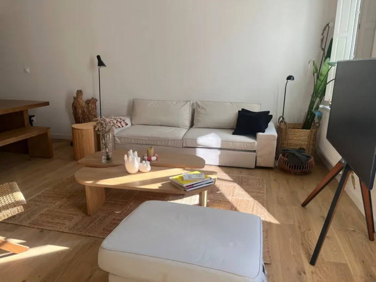 Salon lumineux et confortable d'un appartement T2 à Saint Michel, Bordeaux
