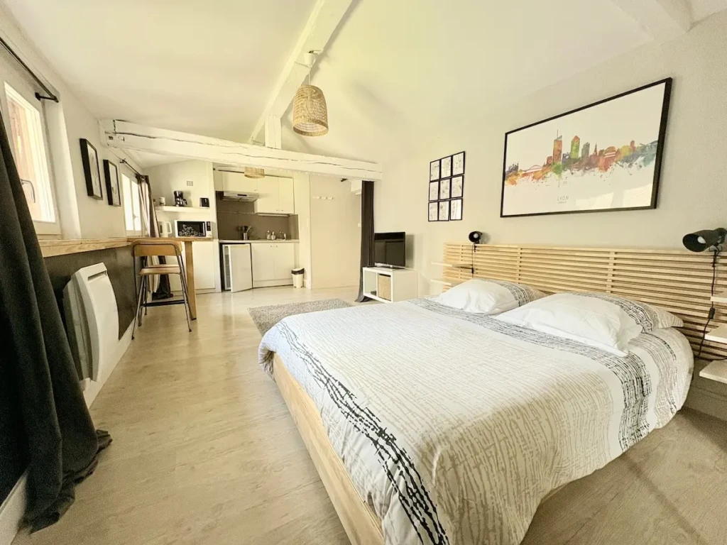 Studio lumineux et chaleureux à Croix-Rousse, Lyon