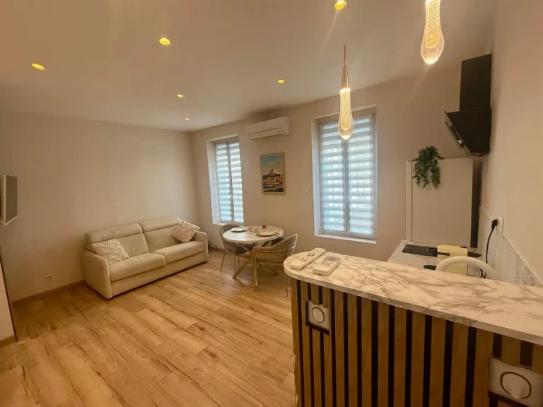 Grand studio climatisé à Marseille avec une belle pièce à vivre