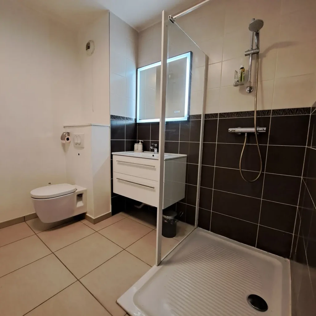 Salle de bain moderne et spacieuse de L'Atelier Rochecardon à Lyon, quartier Vaise-Rochecardon.