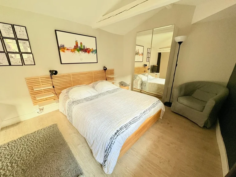 Studio calme et chaleureux à Croix-Rousse, Lyon avec lit confortable et décoration moderne.