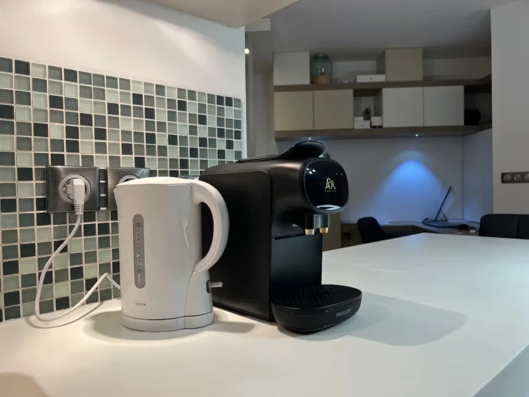 Électroménagers modernes dans la cuisine du penthouse à Toulouse