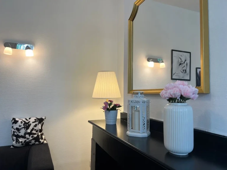 Salon lumineux et décoré d'un T2 au Busca, Toulouse
