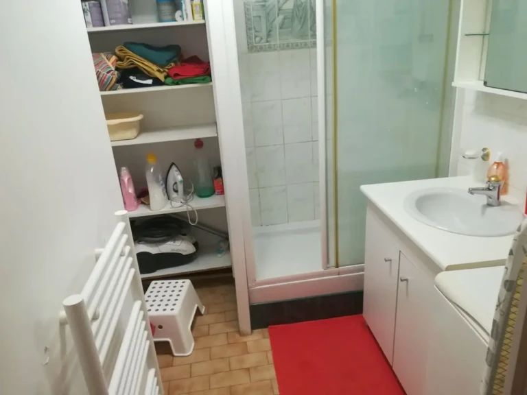 Salle de bain moderne avec douche et rangement pratique dans un appartement à Lyon