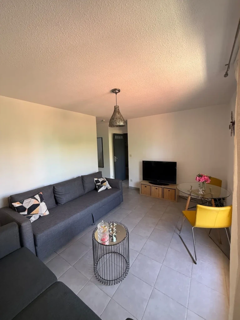 Salon lumineux d'un appartement moderne à Marseille avec canapé et téléviseur