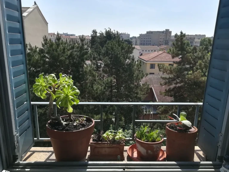 Balcon de l'appartement avec plantes verdoyantes et vue sur le voisinage.