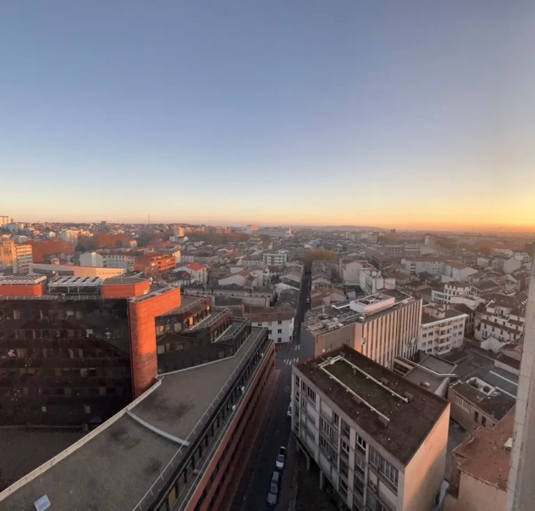 Vue panoramique sur le quartier Jean-Jaurès à Toulouse depuis un penthouse