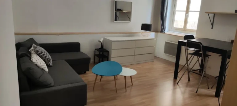 Intérieur d'un studio moderne à Lyon avec un salon confortable