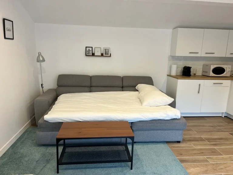 Studio indépendant cosy avec canapé-lit et cuisine équipée à Marseille