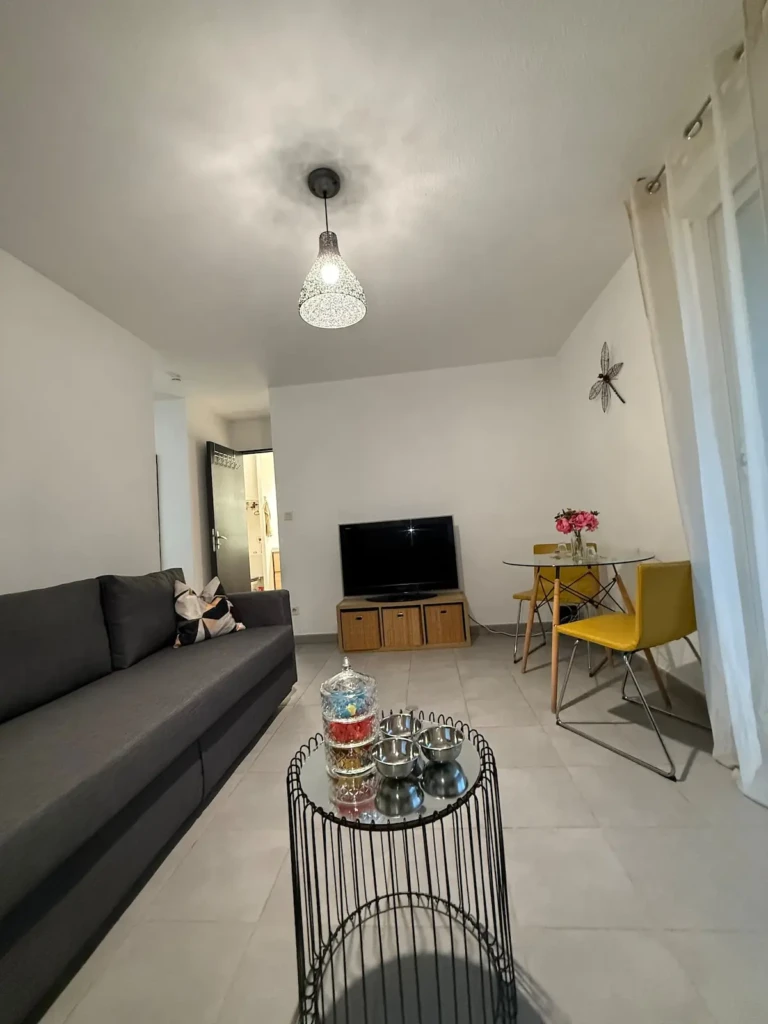 Intérieur moderne d'un appartement T2 à Marseille avec canapé gris et télévision.