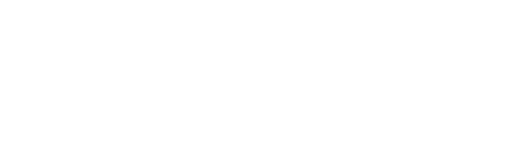 logo direct peers blanc